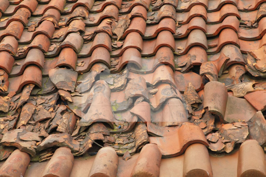 Broken Roof Tile