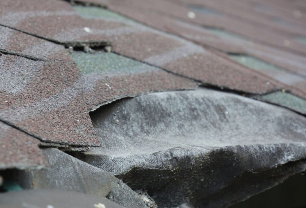 Damaged Shingles